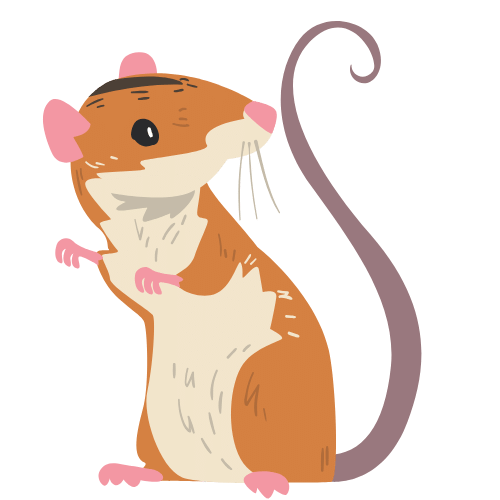 Illustratie van een rat - een echt knaagdier