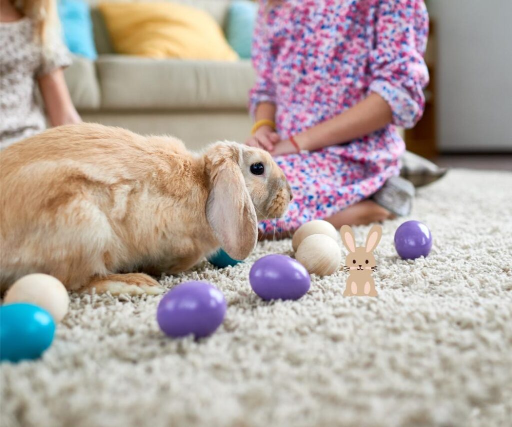 konijn in huis aan het spelen (1)